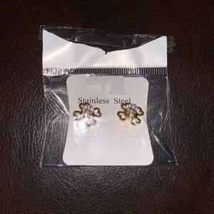 Stainless steel earrings